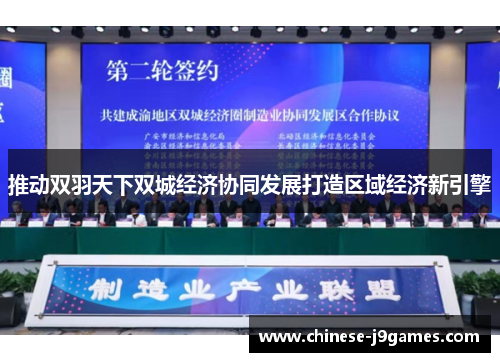 推动双羽天下双城经济协同发展打造区域经济新引擎