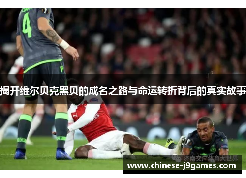 揭开维尔贝克黑贝的成名之路与命运转折背后的真实故事 揭开维尔贝克黑贝的成名之路与命运转折背后的真实故事