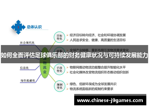 如何全面评估足球俱乐部的财务健康状况与可持续发展能力
