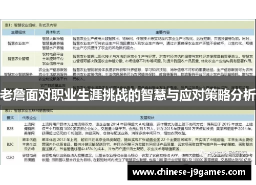 老詹面对职业生涯挑战的智慧与应对策略分析