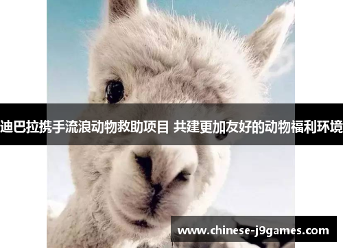 迪巴拉携手流浪动物救助项目 共建更加友好的动物福利环境